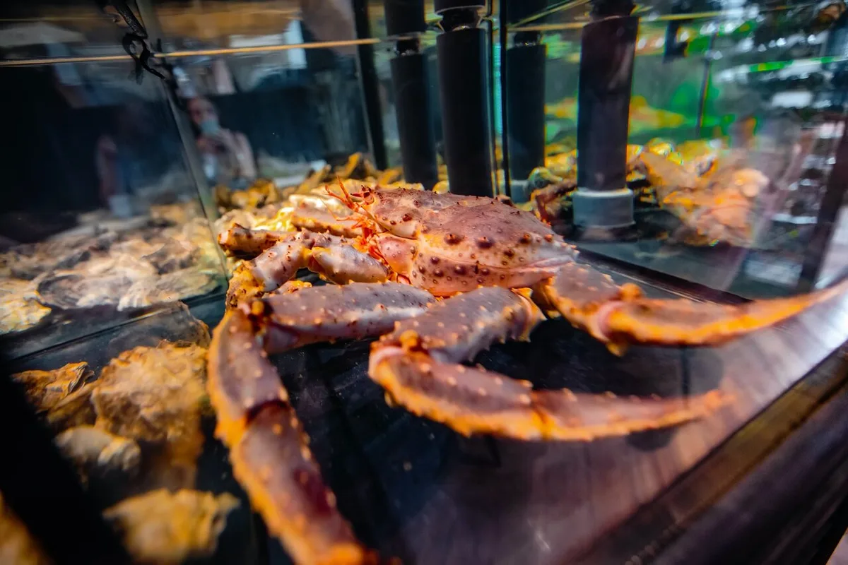 Море Fish'ka. Икорный