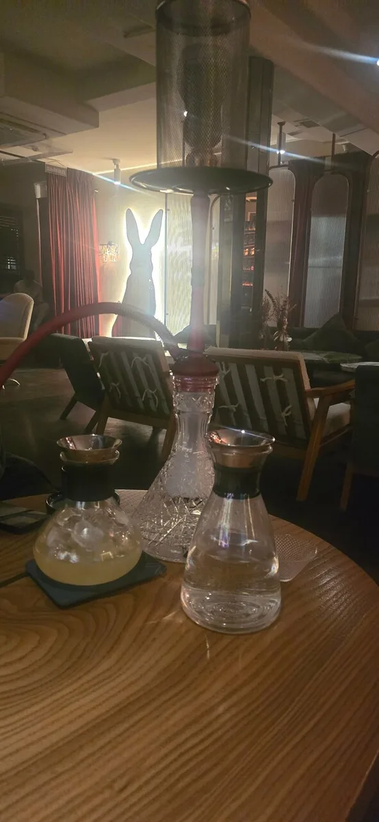Smoky Rabbits